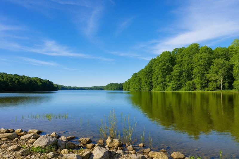 Best Shower Remodeling pros in Burke, VA