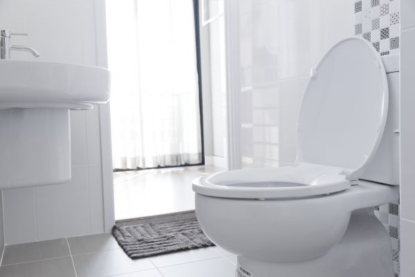 Cost of Toilet Relocation in Vienna
